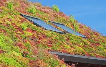 Backhill living roof systems