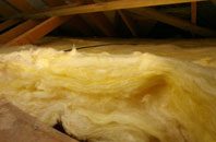Backhill pitch roof insulation